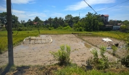 Thương tâm người đàn ông đi cày ruộng thuê, bị điện giật tử vong